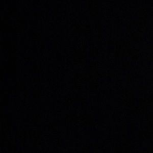 Meet your Posher, Oscar